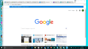 Google Basket Search Results